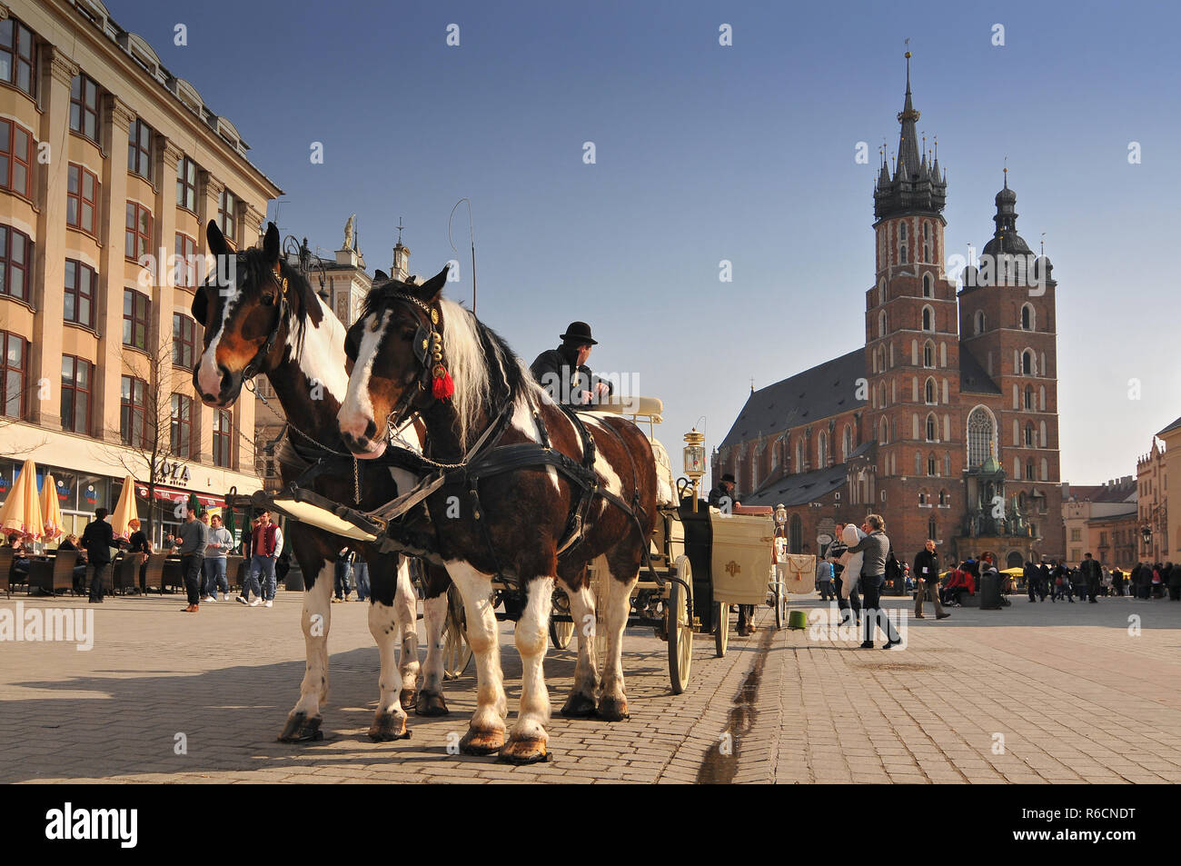 La Polonia, Cracovia, la piazza principale del mercato, Carrozza a cavallo e di Santa Maria la Chiesa Foto Stock