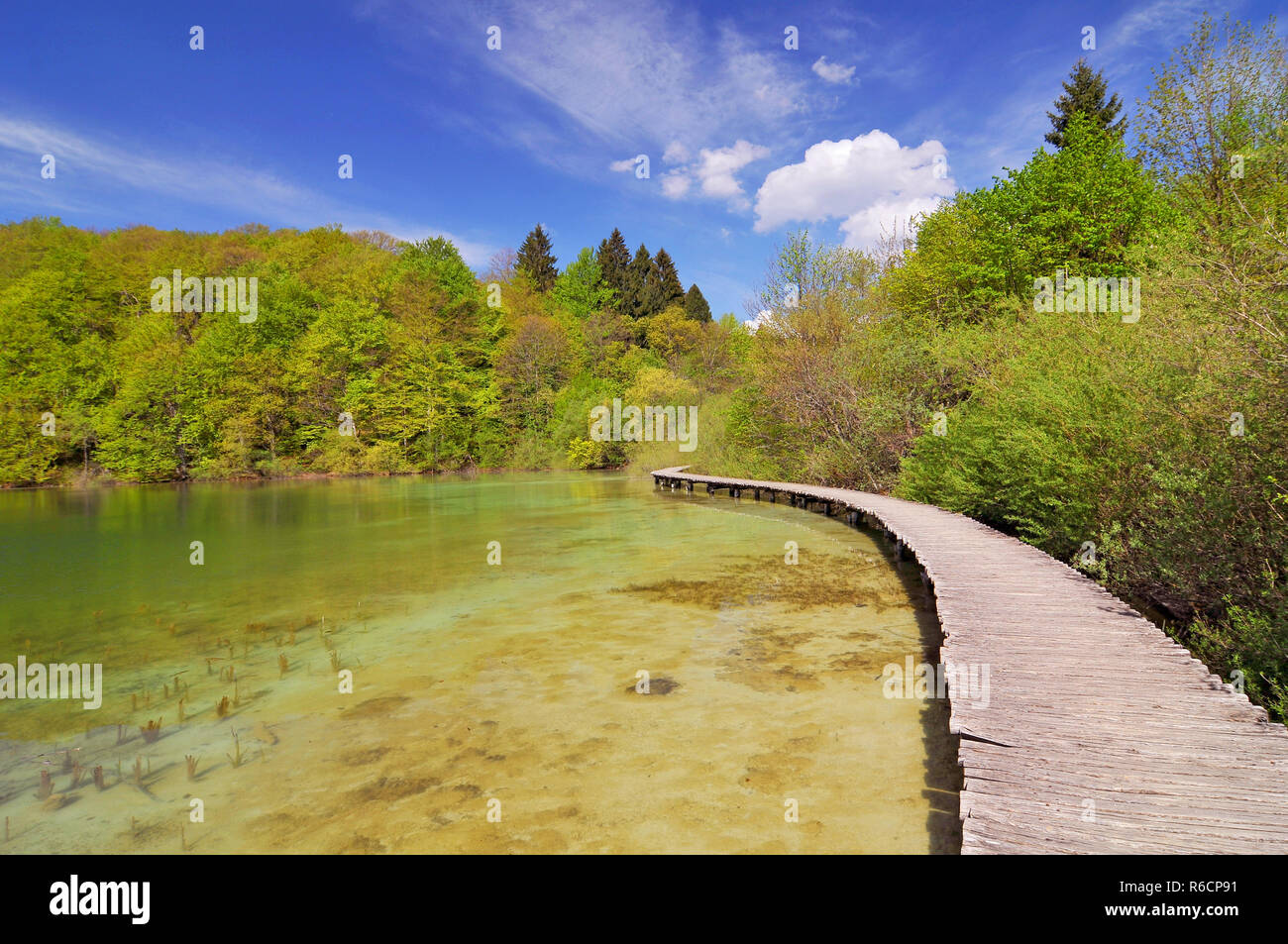 Croazia, Plitvicka Jezera, il Parco Nazionale dei Laghi di Plitvice, il Parco Nazionale dei Laghi di Plitvice Foto Stock
