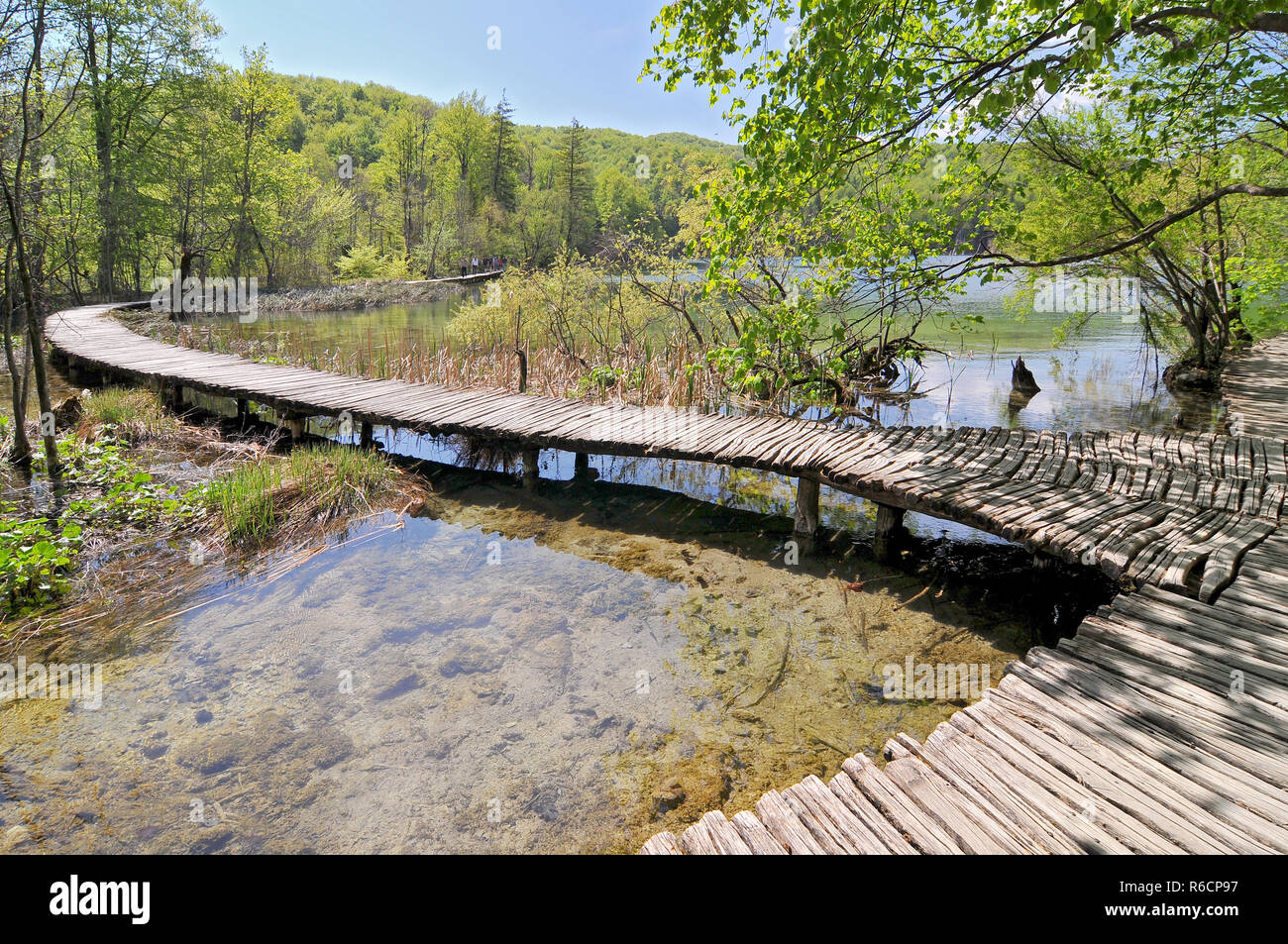 Croazia, Plitvicka Jezera, il Parco Nazionale dei Laghi di Plitvice, il Parco Nazionale dei Laghi di Plitvice Foto Stock