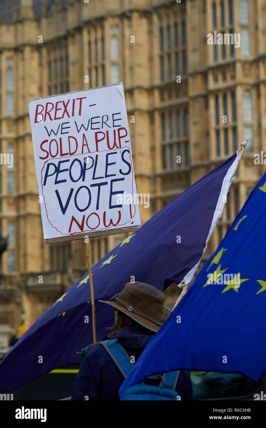 Londra, Regno Unito. 4° dic, 2018. A rimangono sostenitore detiene una targhetta al di fuori del Parlamento. Credito: Kevin J. Frost/Alamy Live News Foto Stock