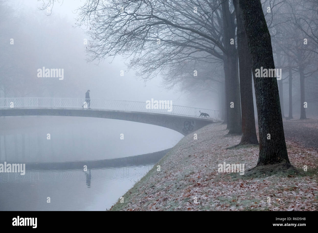 Kassel, Germania. 05 Dic, 2018. In un freddo gelido e nebbiosa mattina una donna e il suo cane attraversare il ponte sul fosso di cucina in Karlsaue. Credito: Uwe Zucchi/dpa/Alamy Live News Foto Stock