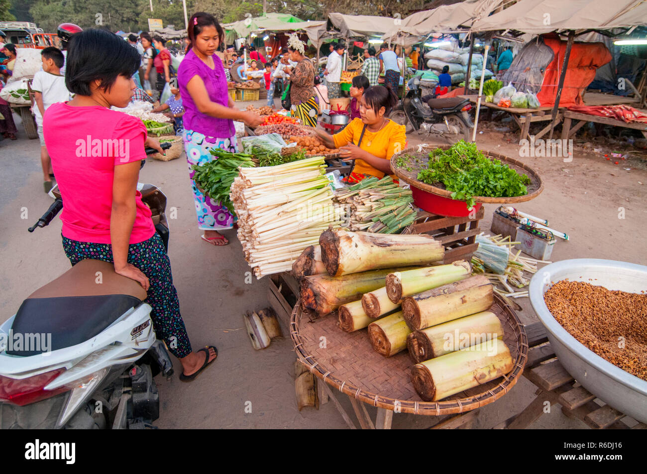 Donne birmane la vendita a un ortaggio fresco di stallo del mercato vicino Lago Inle Myanmar (Birmania) Foto Stock