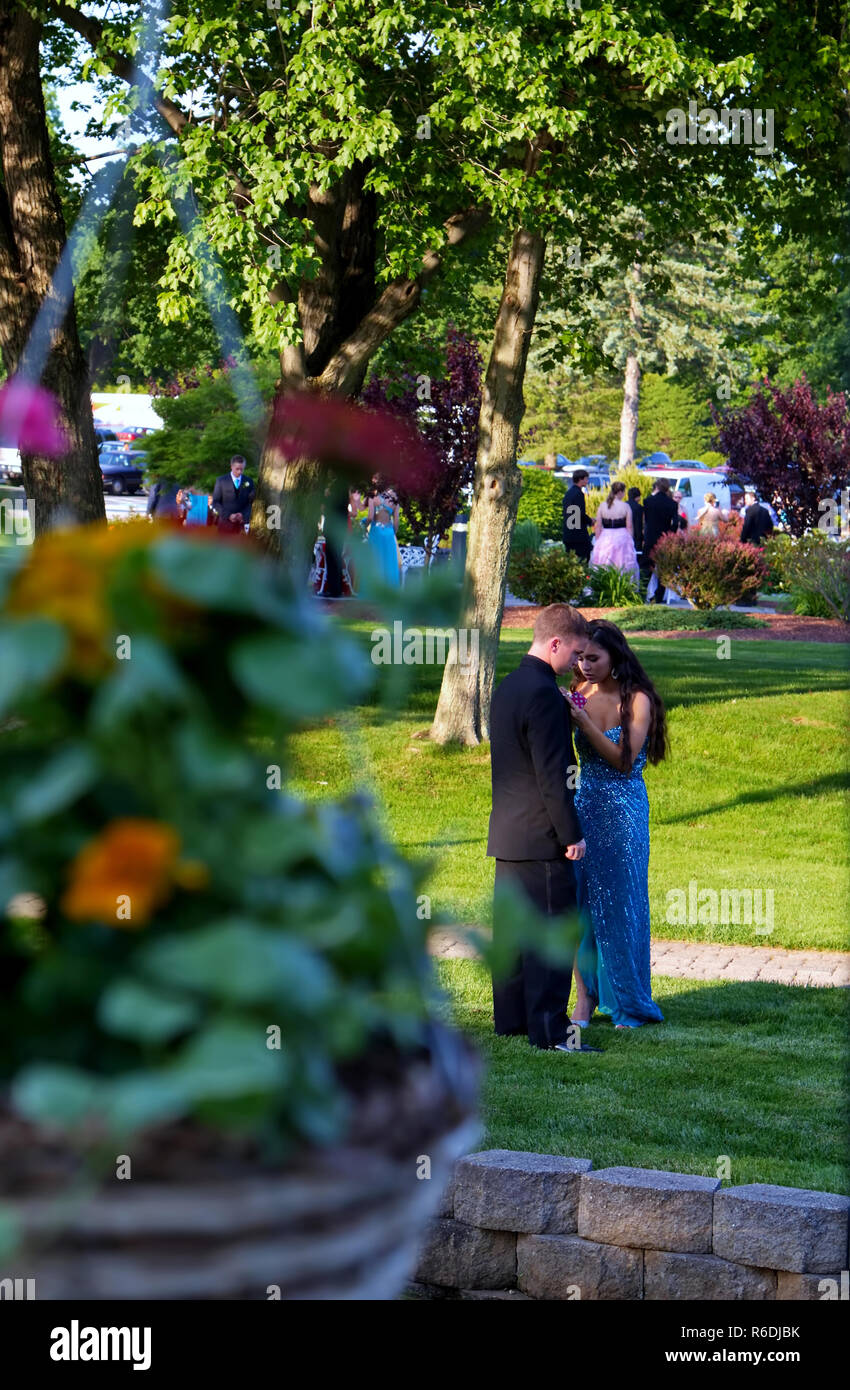 Plainville, CT, Stati Uniti d'America. Giugno 2013. Giovane donna è cautamente ripone la sua data la boutonniere prima della prom. Foto Stock