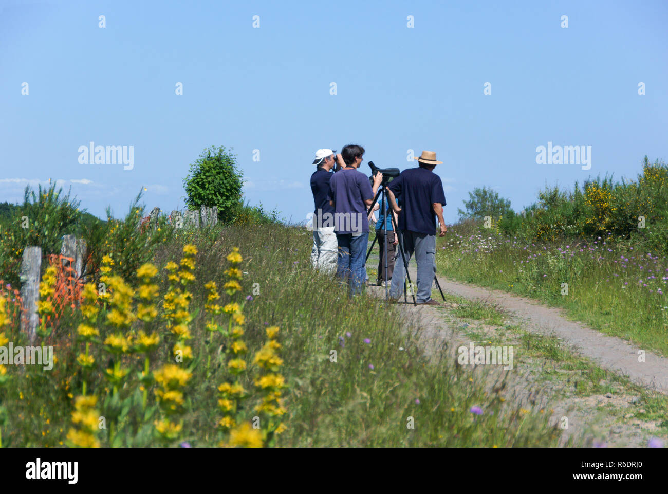Un gruppo di birdwatcher francese del Gers Bird Club birdwatching nel Parc Naturel Des Grand Causses. Dipartimento12. Aveyron. Foto Stock