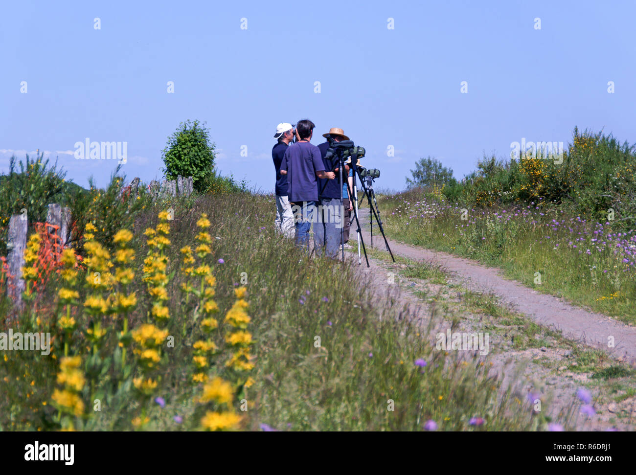 Un gruppo di birdwatcher francese del Gers Bird Club birdwatching nel Parc Naturel Des Grand Causses. Dipartimento12. Aveyron. Foto Stock