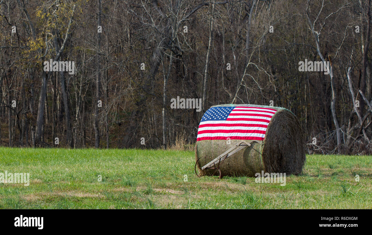 Bandiera americana sulla balla di fieno con aratro a mano nella parte anteriore Foto Stock