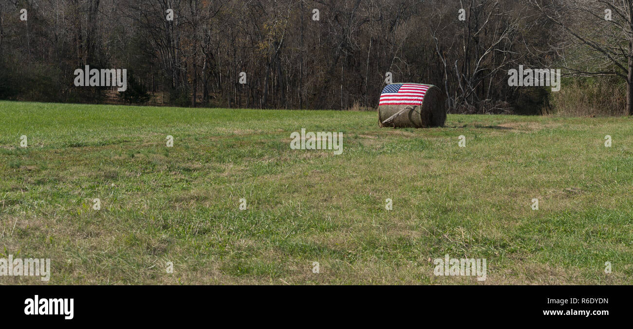 Bandiera americana sulla balla di fieno con aratro a mano nella parte anteriore Foto Stock