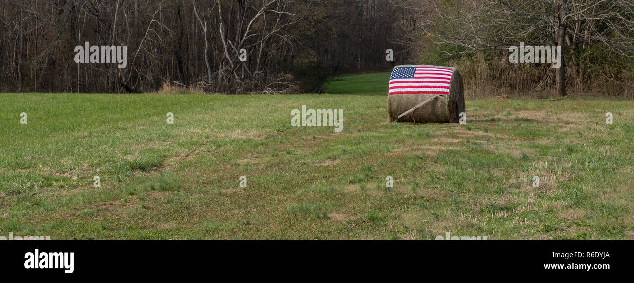Bandiera americana sulla balla di fieno con aratro a mano nella parte anteriore Foto Stock