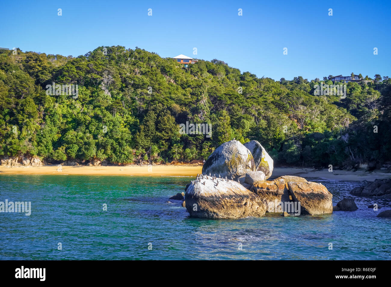 Pietra rotonda boulder nel Parco Nazionale Abel Tasman, Nuova Zelanda Foto Stock
