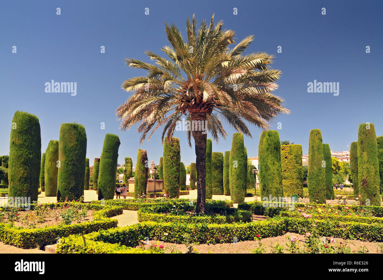 Il dolore di Cordoba Andalusia Alcazar dei Re Cristiani Cypress Alley e vasche nei giardini Foto Stock