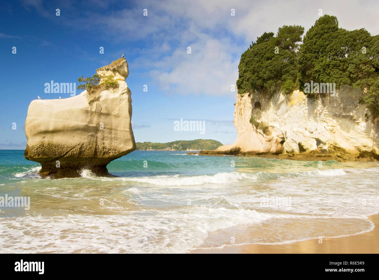 Bianco calcare formazioni rocciose e la spiaggia di sabbia fine a Cove della cattedrale sulla Penisola di Coromandel in Nuova Zelanda, Isola del nord Foto Stock
