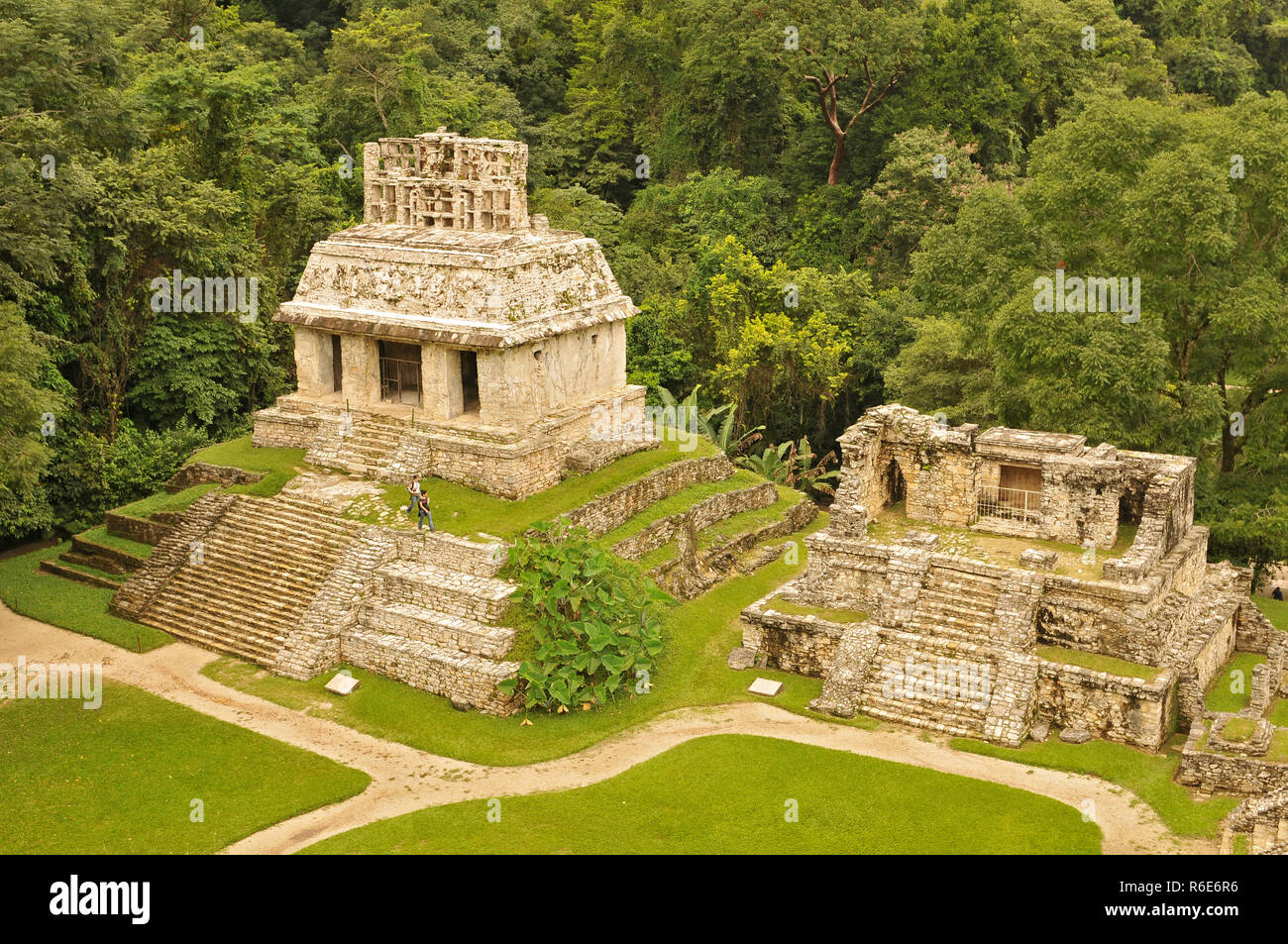 Panorama di Palenque sito archeologico, un precolombiana Maya civiltà mesoamericane noto come Lakamha Big (acqua), Messico Foto Stock