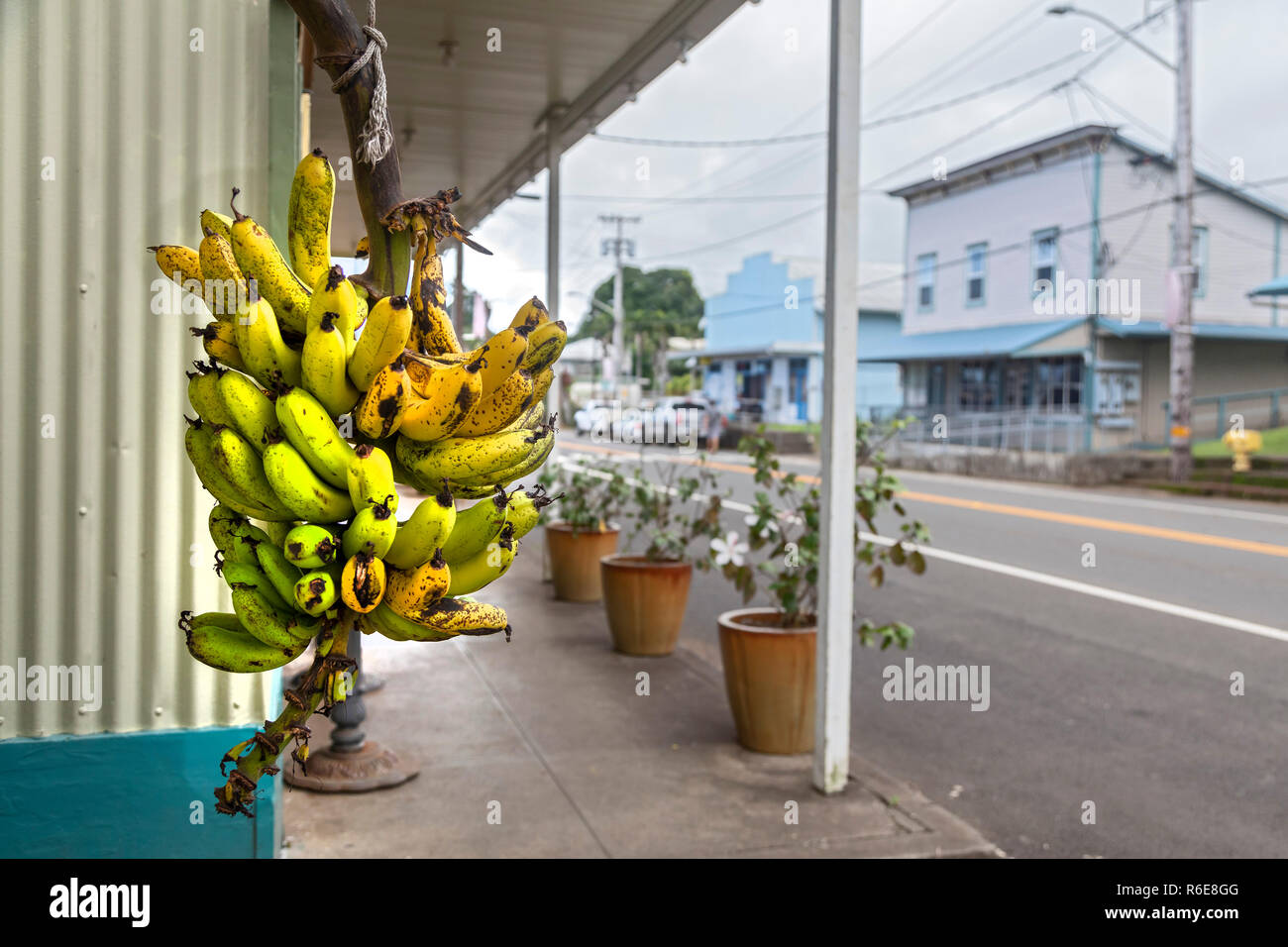 Honoka'a, Hawaii - Banane appeso sul marciapiede in downtown Honoka'a. Foto Stock