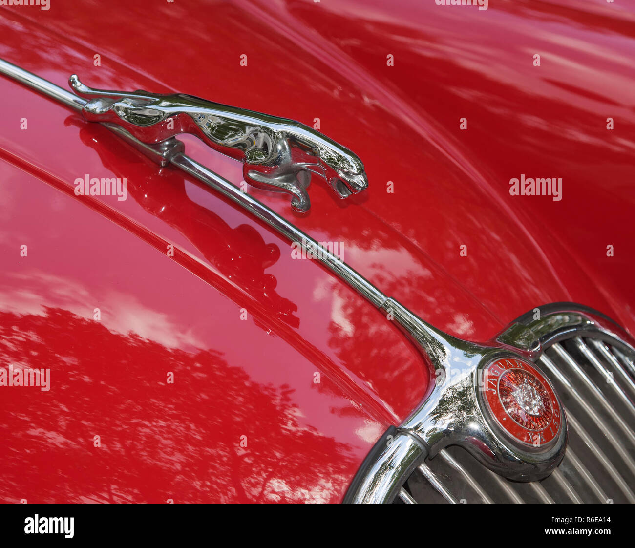 Ornamento del cofano della Jaguar XK 150 Foto Stock