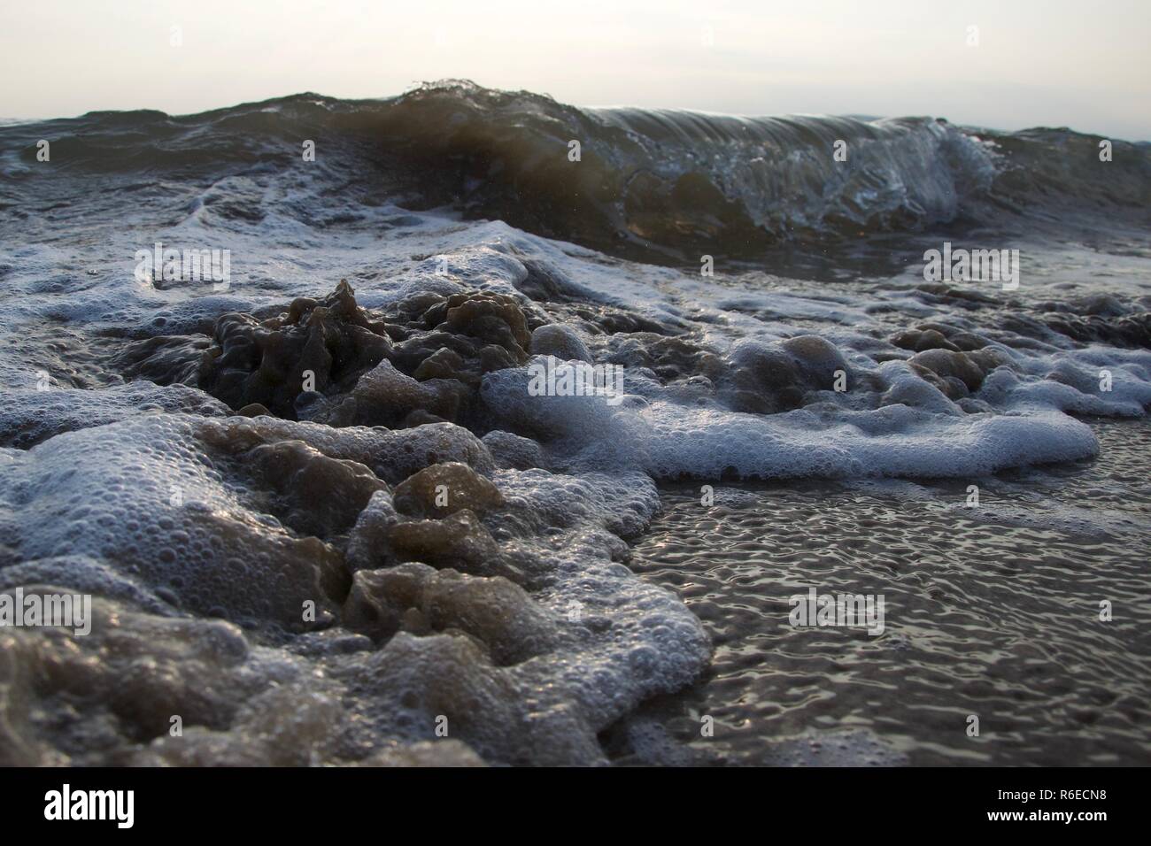 Bolle di sabbia in spiaggia Foto Stock