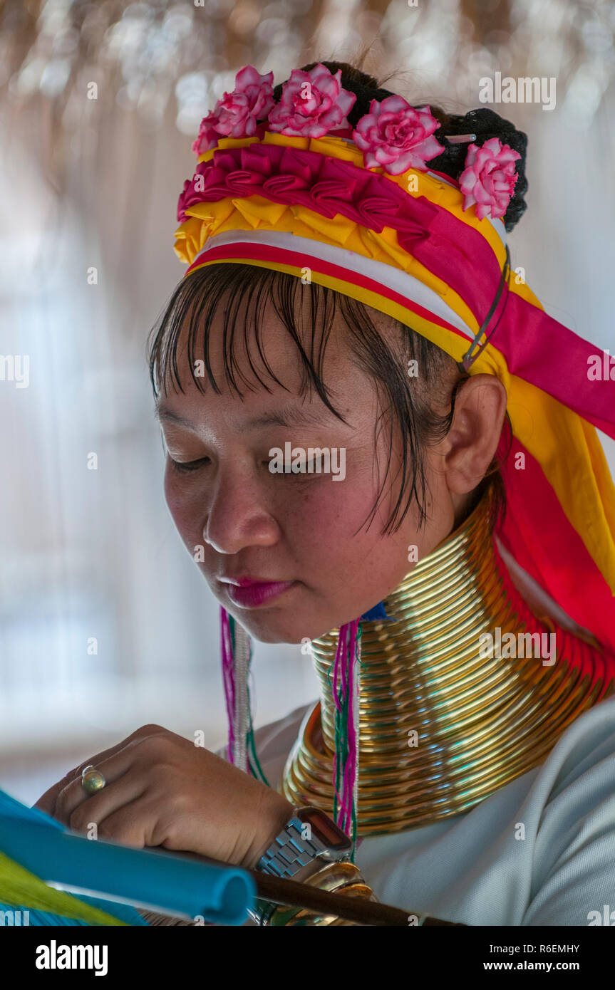 Collo lungo le donne dalla tribù Karen Thailandia Foto Stock