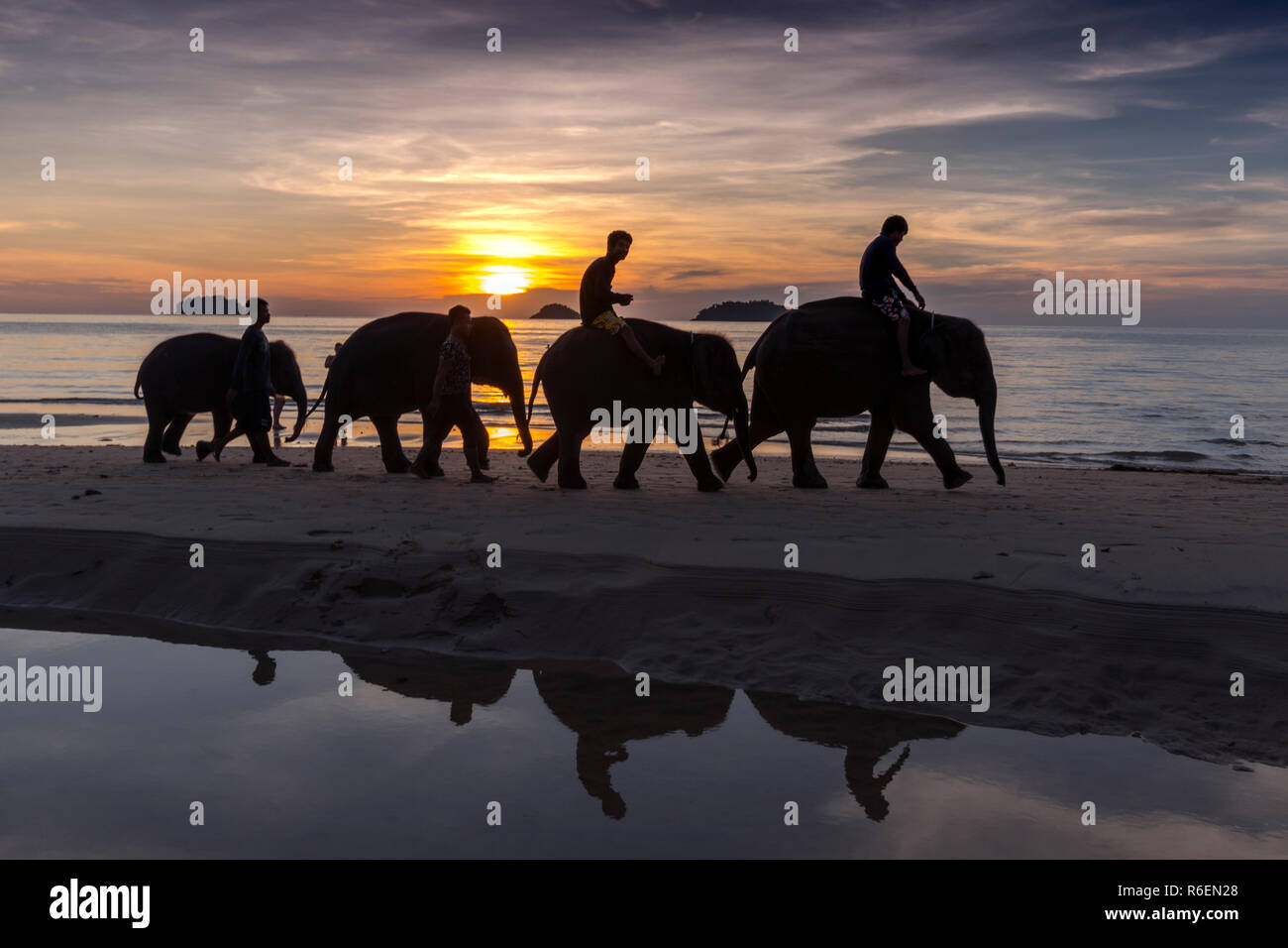 Sagome di elefanti su uno sfondo del tramonto del sole e del mare a Koh Chang, Thailandia Foto Stock