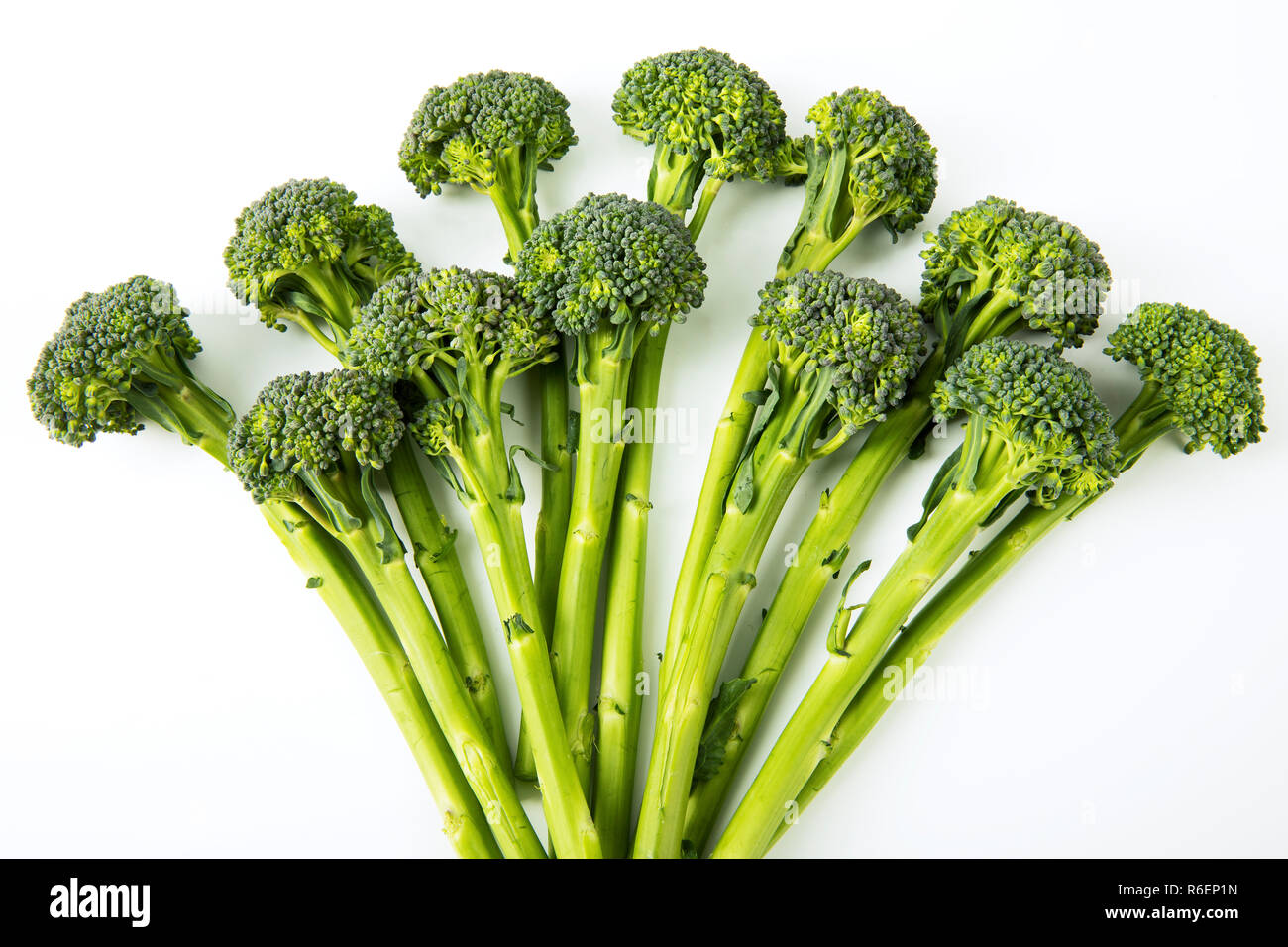 Asta broccoli Foto Stock