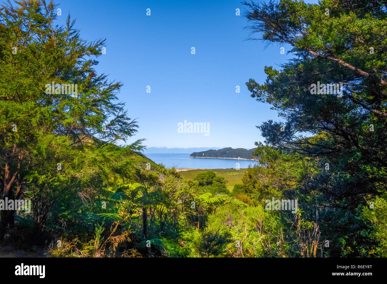 Visualizzazione traccia nel Parco Nazionale Abel Tasman, Nuova Zelanda Foto Stock
