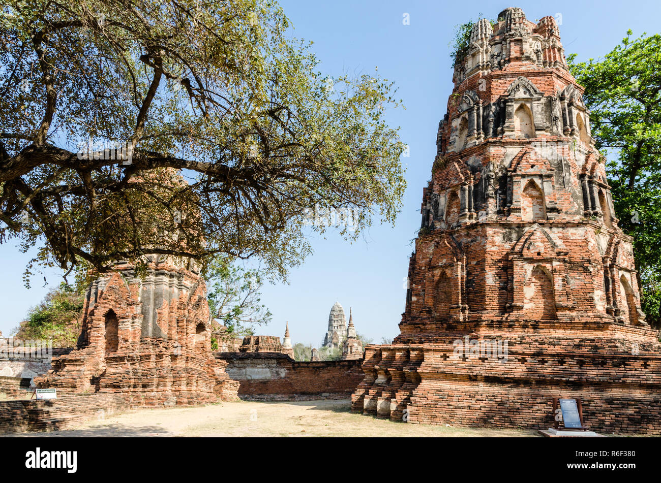 Il Wat Phra Mahathat, al parco storico di Ayutthaya, Thailandia Foto Stock