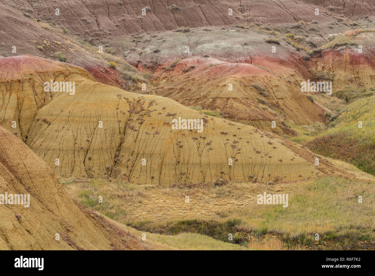 Tumuli giallo,Giallo Mounds si affacciano, Badlands NP, caduta, S. Dakota, Stati Uniti d'America, di Dominique Braud/Dembinsky Foto Assoc Foto Stock
