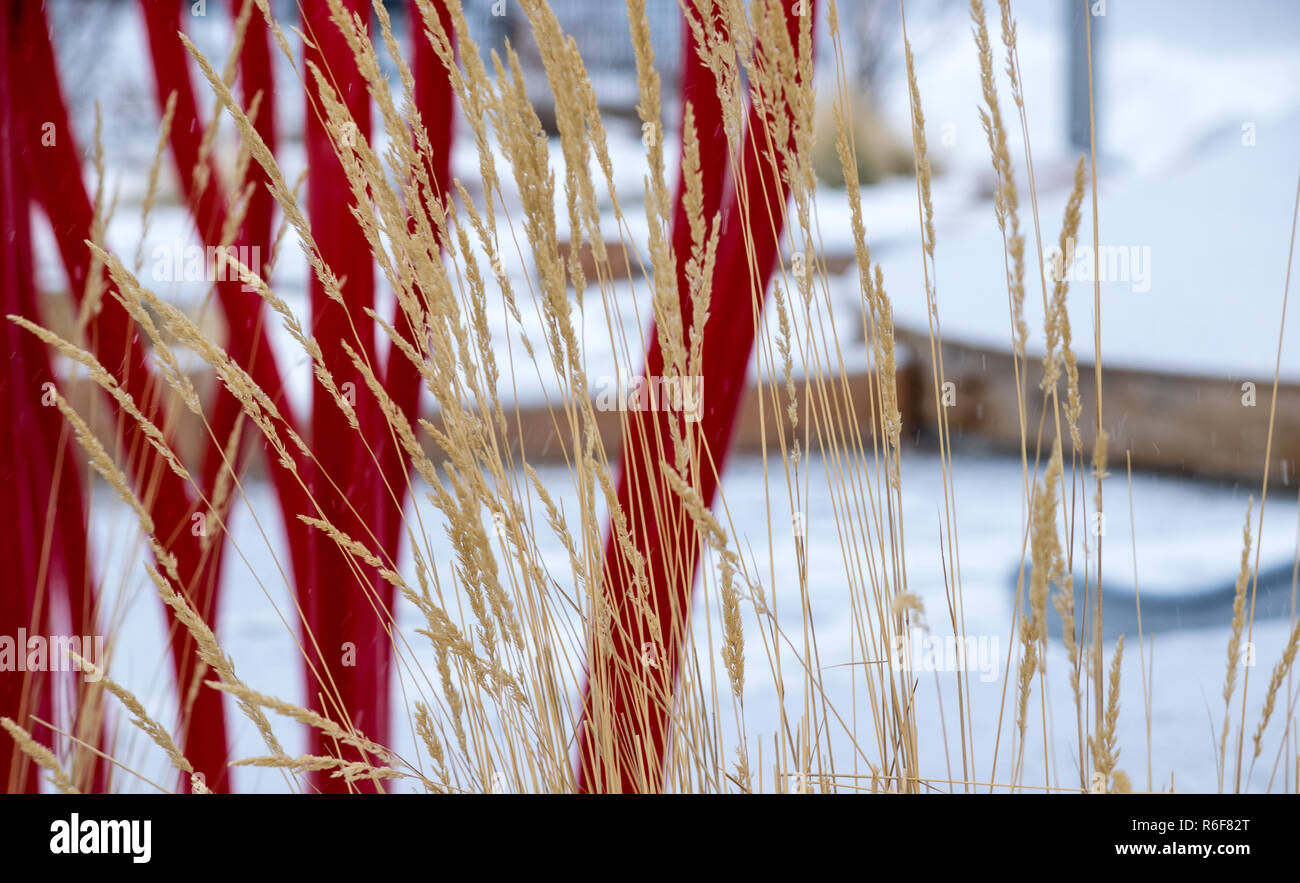 Inverno scene dal centro di Calgary Foto Stock