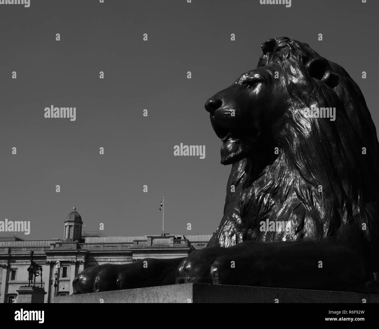 Londons Trafalgar Square Lion Foto Stock