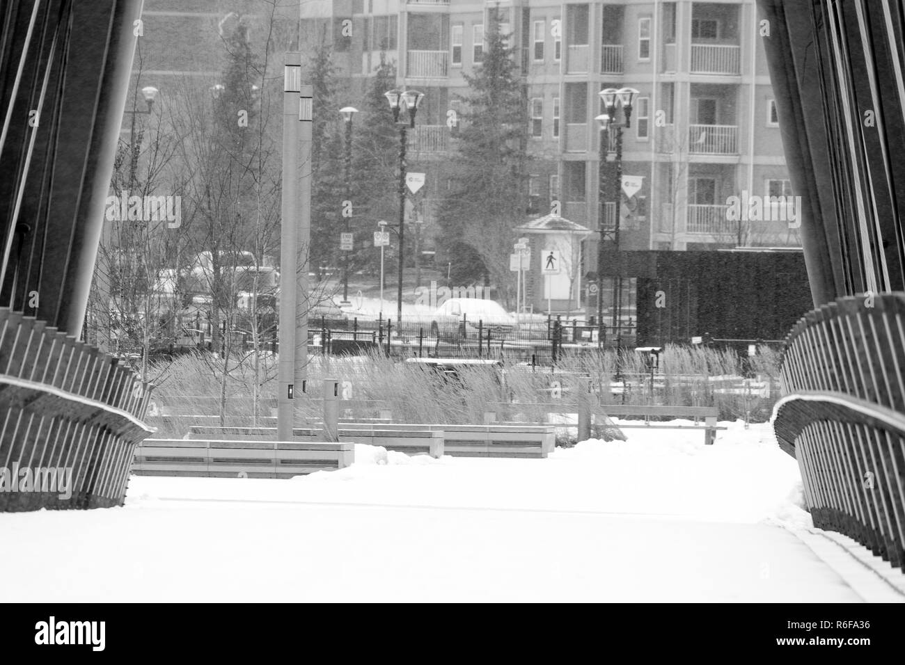 Inverno scene dal centro di Calgary Foto Stock