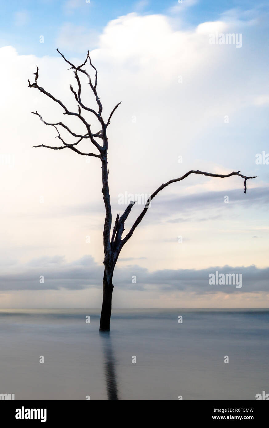 Sunrise su una calma e spiaggia vuota con driftwood e riflessioni Foto Stock