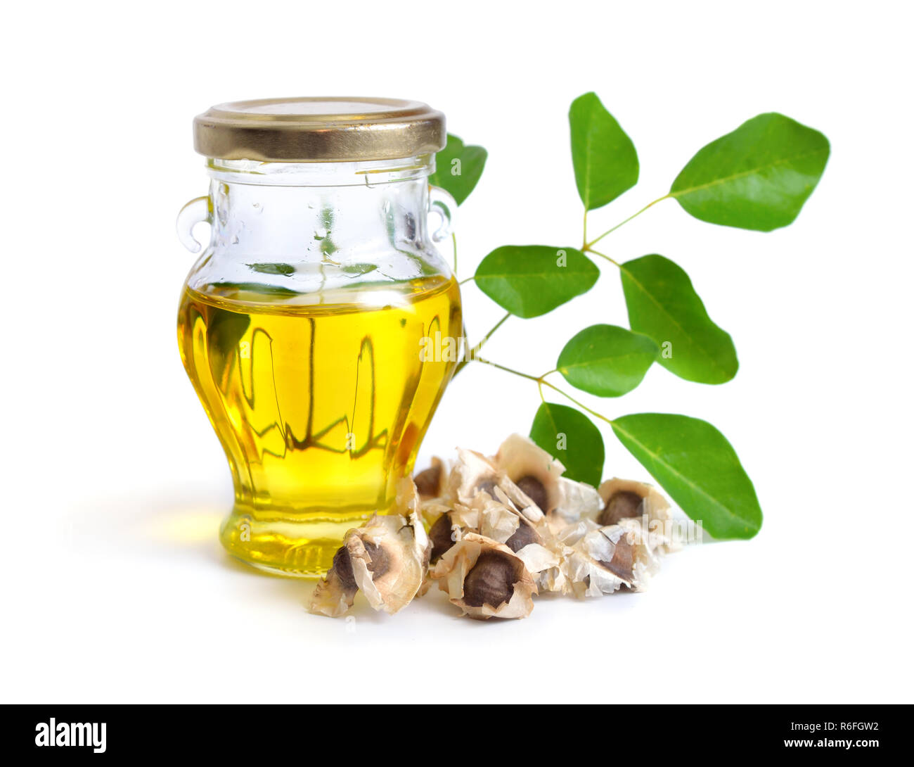 Moringa Oleifera con olio di semi e leawes. Isolato su sfondo bianco. Foto Stock