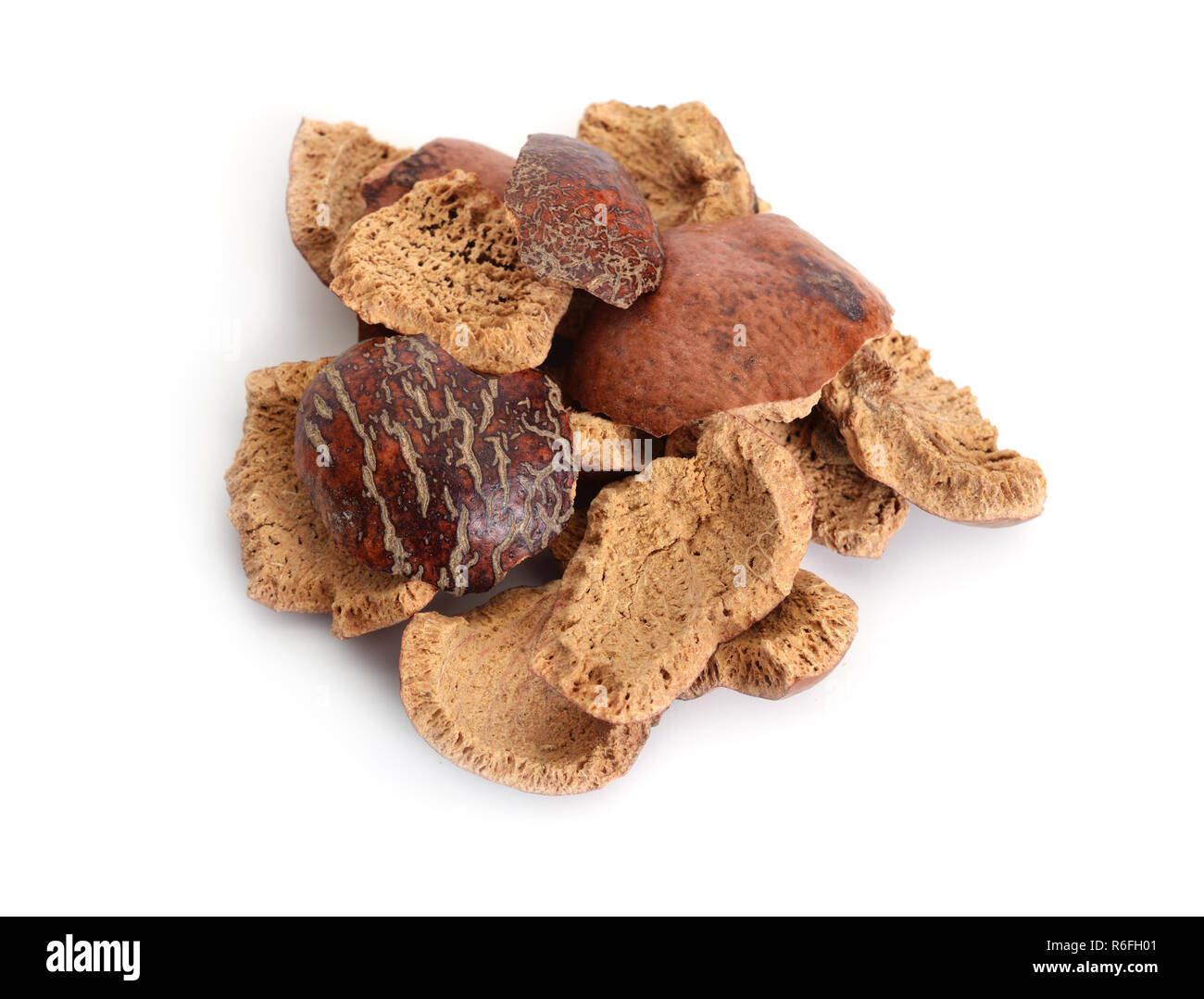 Bucce essiccate di Hyphaene thebaica, doum palm o gingerbread tree (anche doom palm). Isolato. Foto Stock