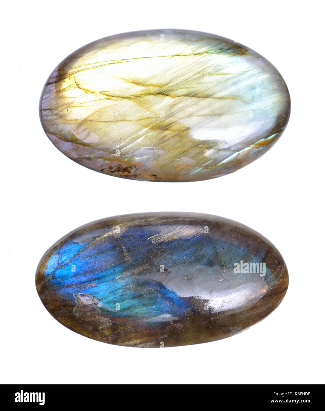 Due blu lucido labradorite Caboshons. Isolato su sfondo bianco. Foto Stock