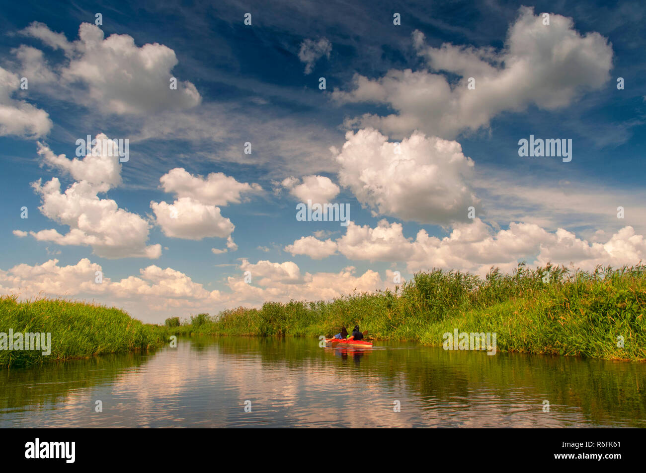La famiglia in una canoa sul fiume Biebrza National Park, Polonia Foto Stock