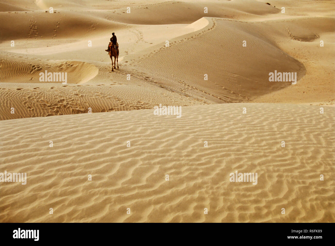 La sabbia, dune, Khudi deserto scena, Jaisalmer, Rajasthan, India Foto Stock