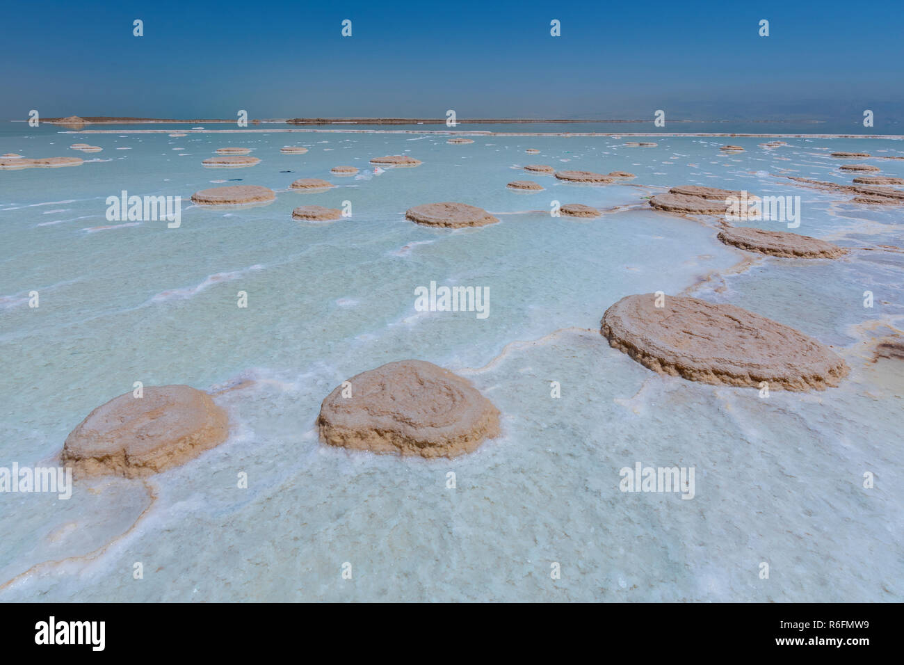 Sale cristallizzato coprire la spiaggia del Mar Morto in Israele Foto Stock