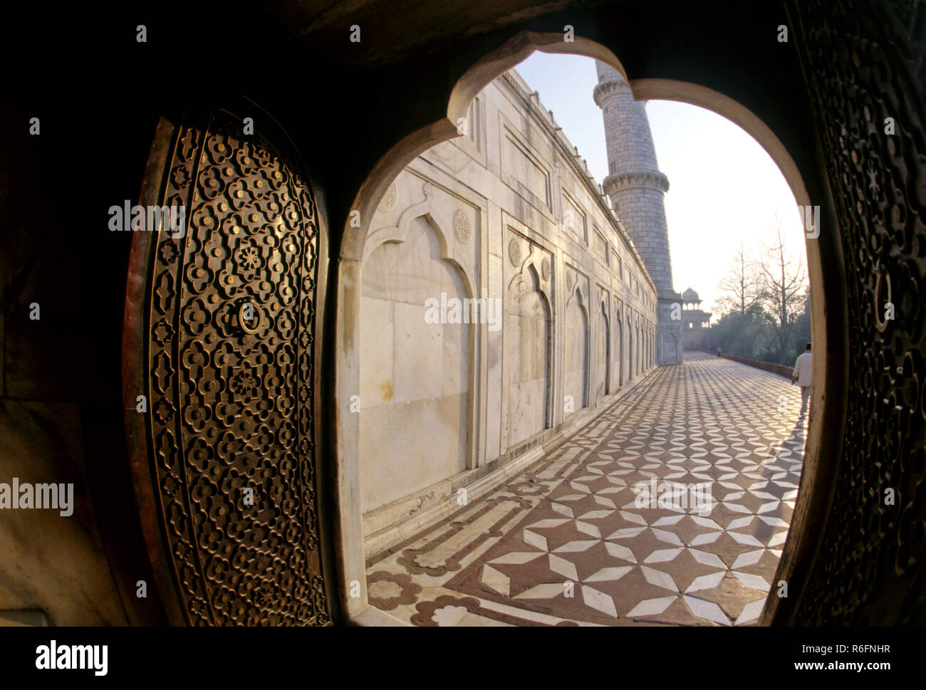 Taj Mahal, Agra, Uttar Pradesh, India Foto Stock