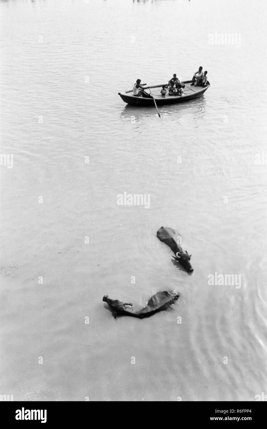 Barca che attraversa il fiume Ganga Ganges, India, vecchia immagine annata 1900s Foto Stock