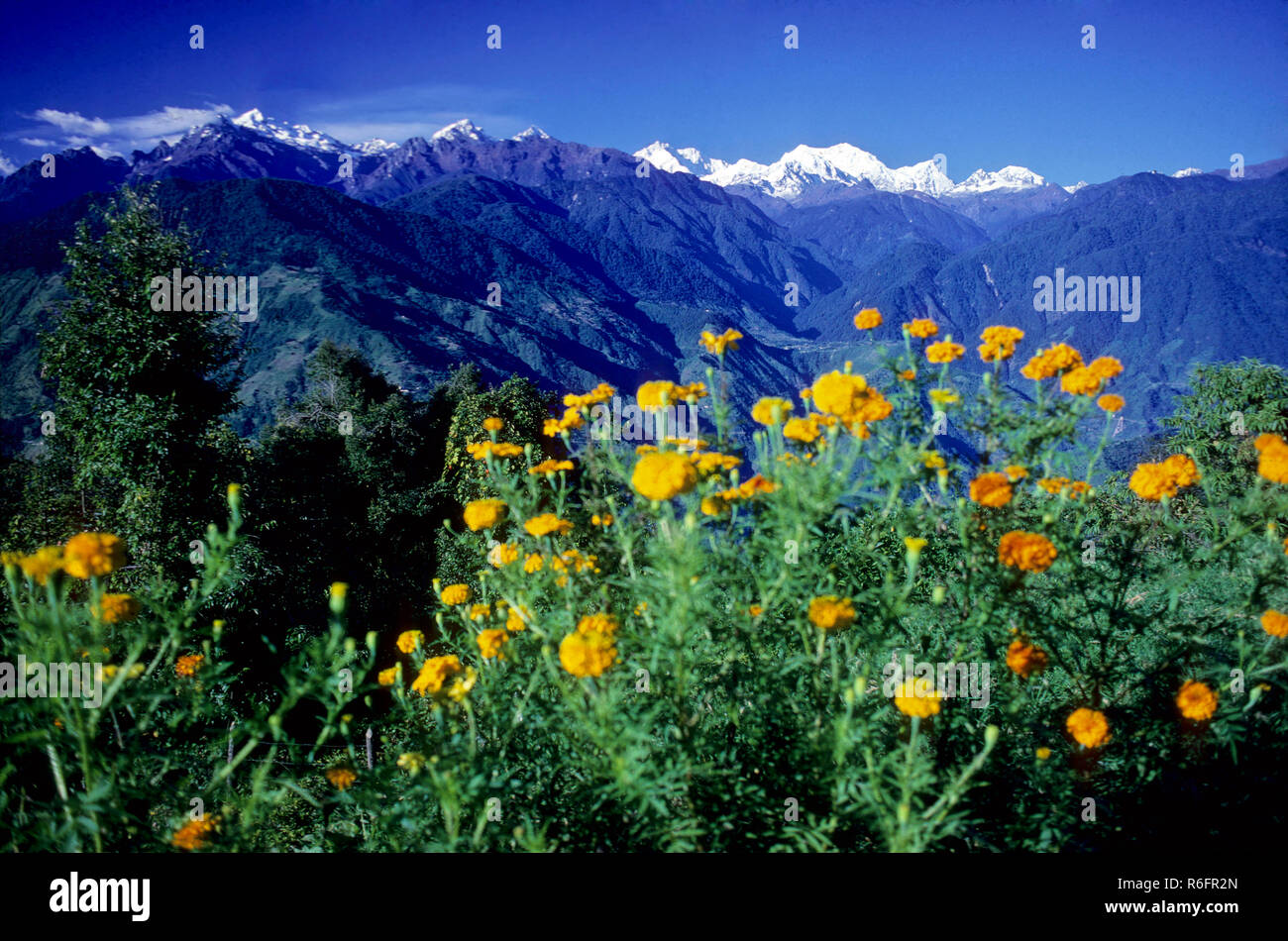 Altezza di Kangchendzonga 8600 metri, il Sikkim, India Foto Stock