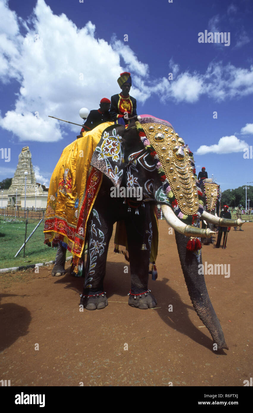 Caparisoned elefante a dussera festival, Mysore, Karnataka, India Foto Stock