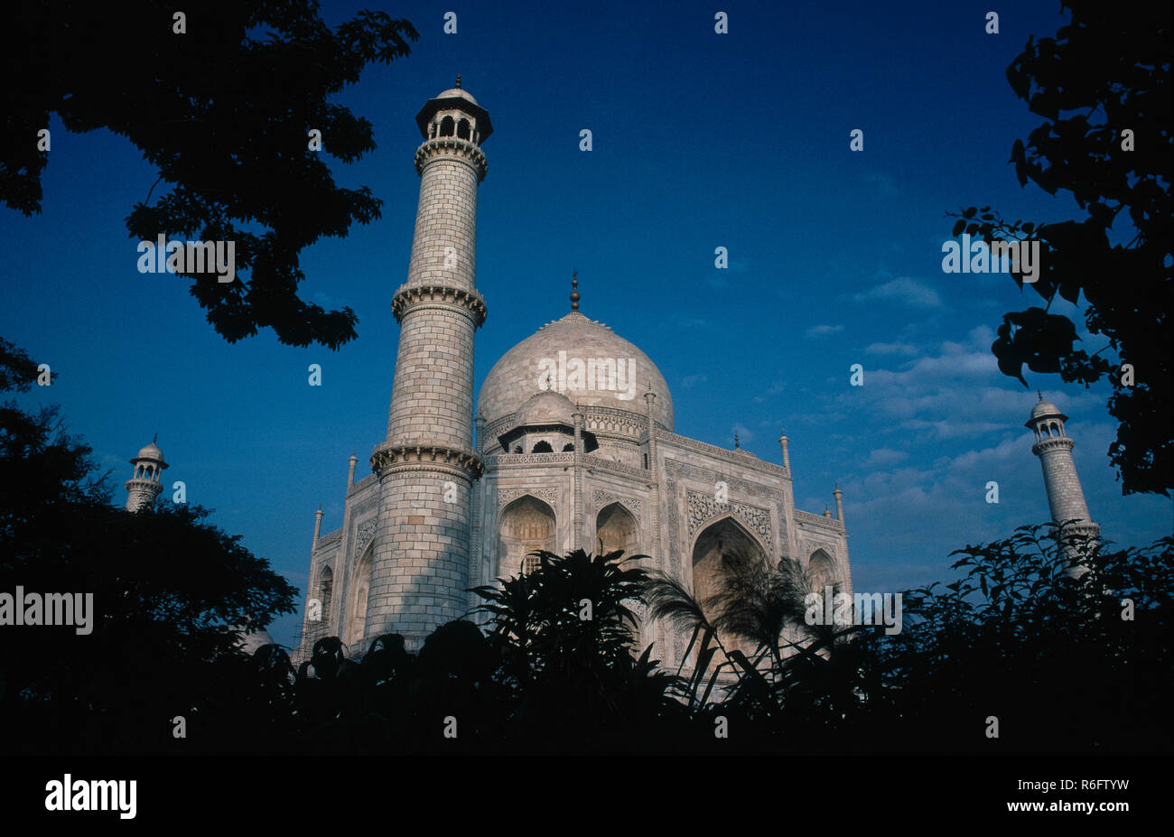 Taj Mahal scena da con il proprio giardino settima meraviglia del mondo, Agra, Uttar Pradesh, India Foto Stock