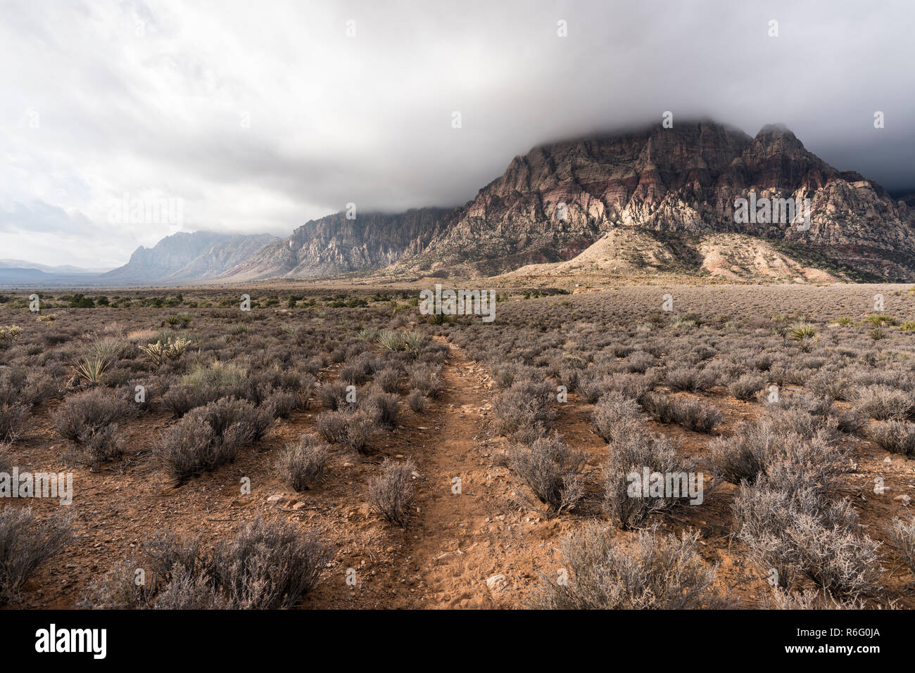 Novembre pioggia nuvole in movimento nella Red Rock Canyon National Conservation Area vicino a Las Vegas, Nevada. Foto Stock