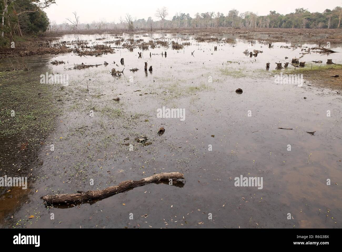 La Neak Pean rovine del tempio Foto Stock