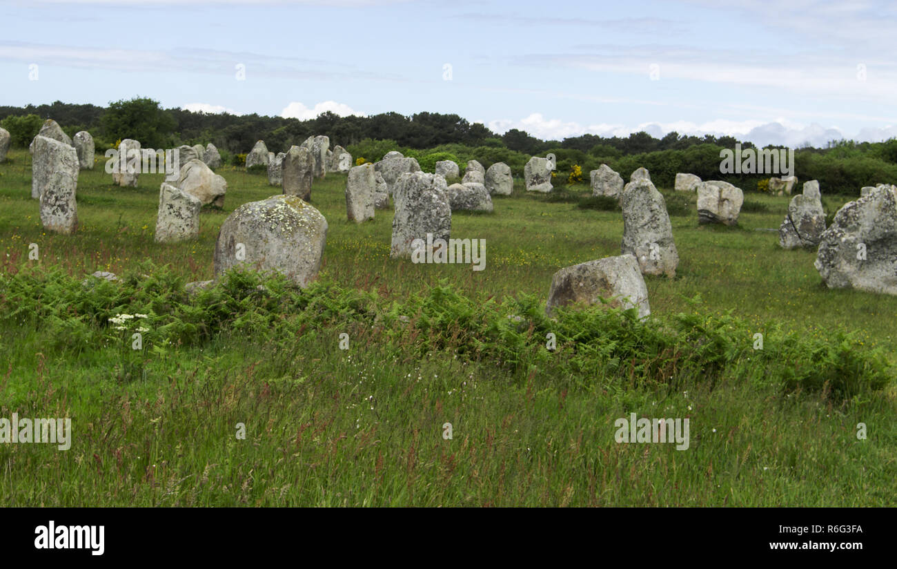 Francia.età della pietra rimane.Brittany.Dept Morbihan. Carnac area.Megalitico pietre permanente.Le Menec allineamento c.4000-3000 BC. Foto Stock