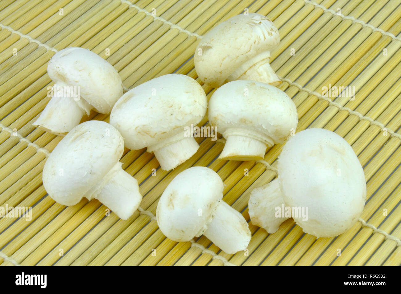 Champignons sul tappetino di bambù Foto Stock