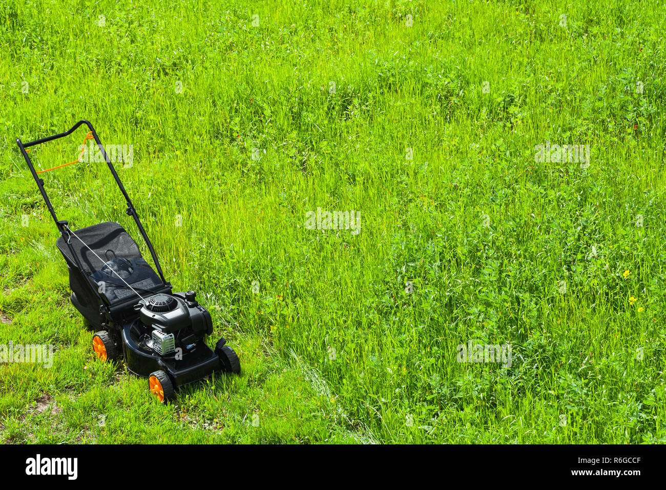 Moderni alimentati a benzina falciatrice di erba sorge sul fresco prato verde nel giardino estivo, vista dall'alto Foto Stock