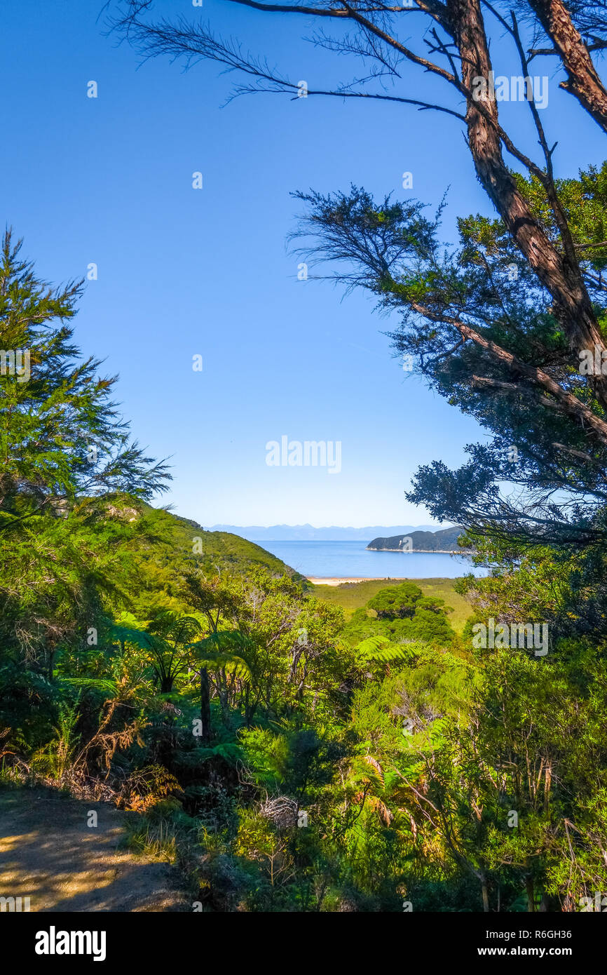 Visualizzazione traccia nel Parco Nazionale Abel Tasman, Nuova Zelanda Foto Stock