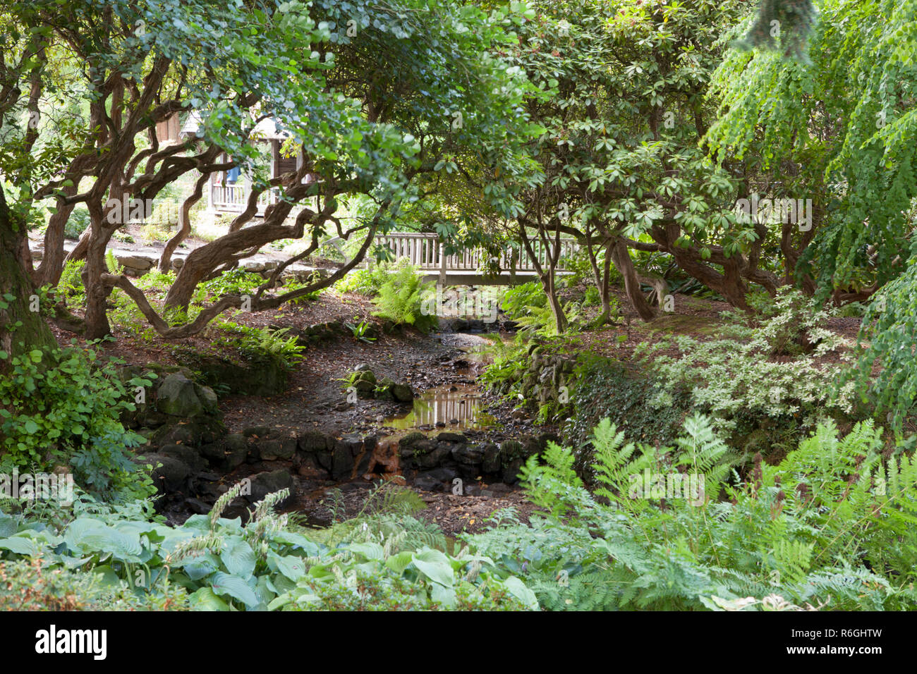 Bodnant Garden in Galles offre ai visitatori splendide collezioni di piante e alberi da tutto il mondo Foto Stock
