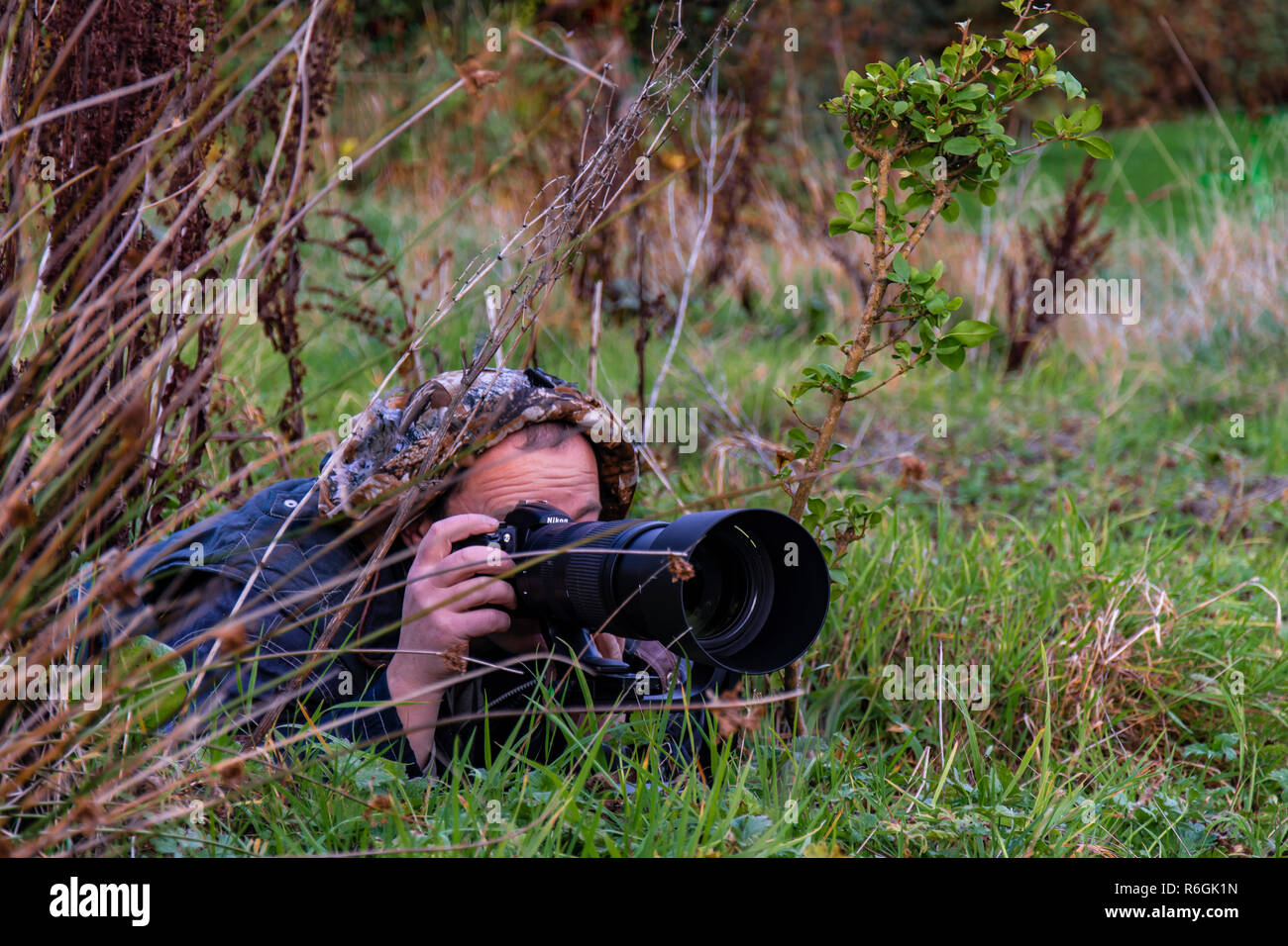 Wildlife Photographer nascosto nei cespugli di erba con visibile alcuna faccia. Foto Stock