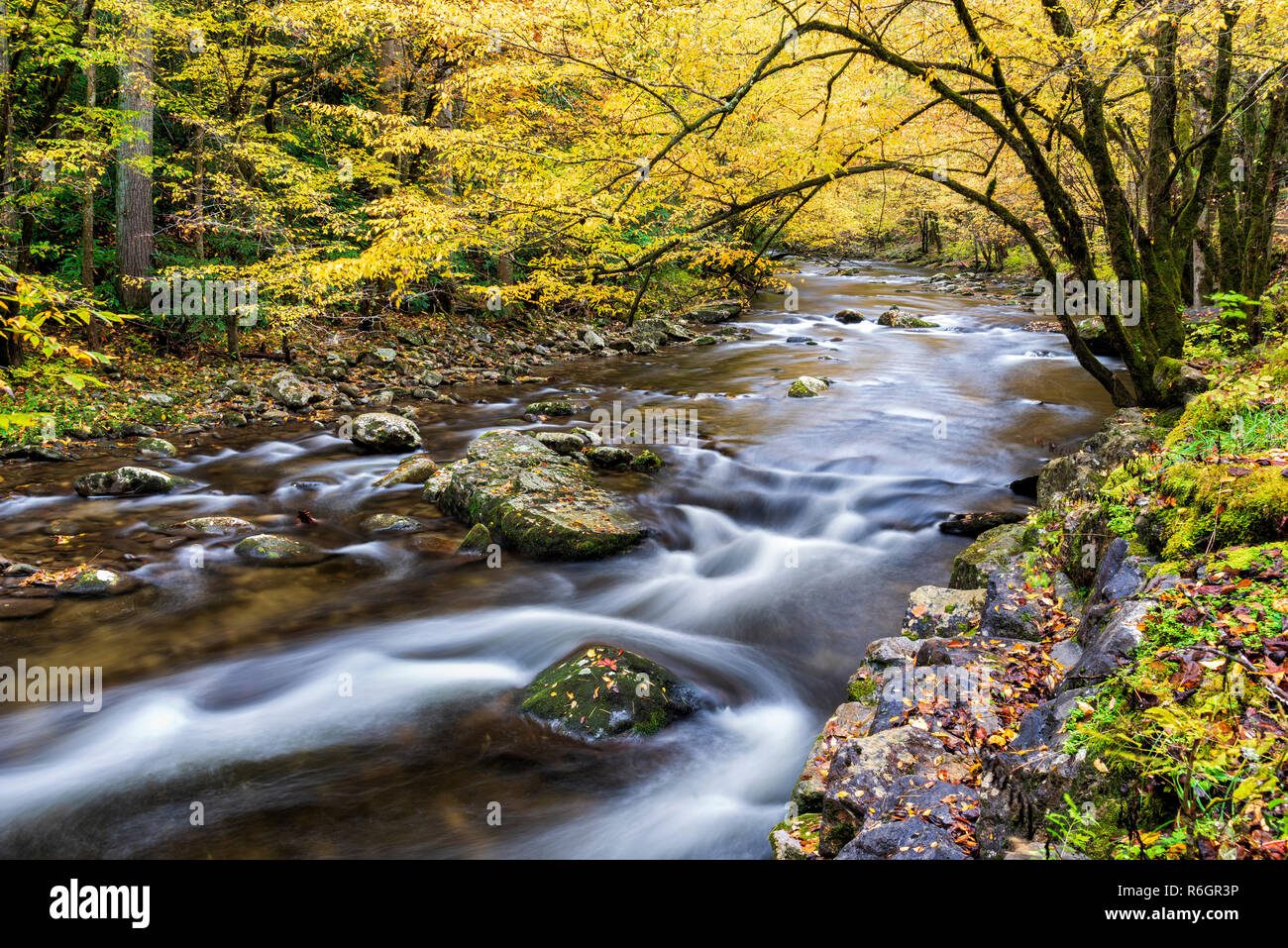 Inquadratura orizzontale di una bella fluente Smoky Mountain stream in colori autunnali. Foto Stock