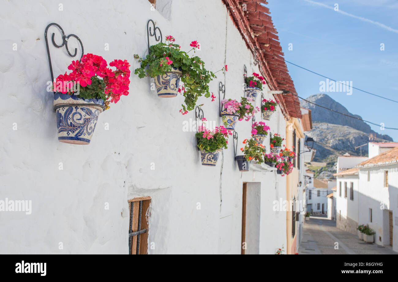 Alfarnatejo, bianco villaggio sulla collina di montagne di Malaga, Andalusia, Spagna. Case a schiera Foto Stock